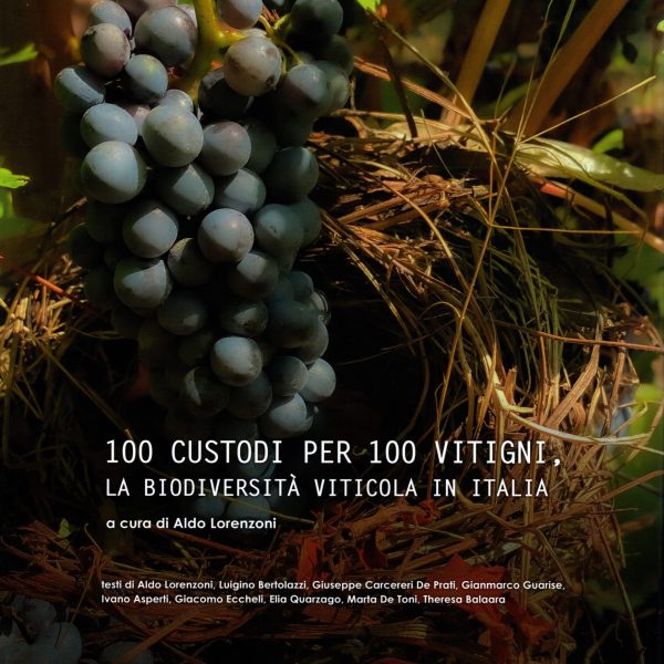 Graspo_100custodiper100vitigni_cop