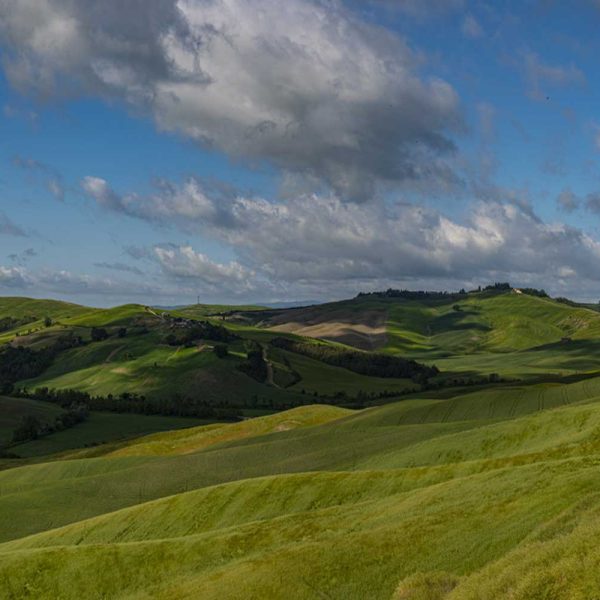 IMG_msmpano_1500