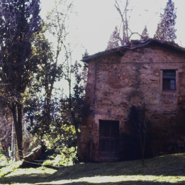 casamatta-montesantemarie-prerestauro1994