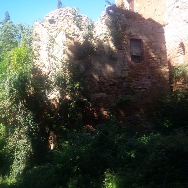 casamatta-montesantemarie-prerestauro6