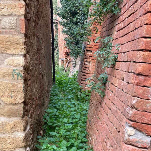 casamatta-montesantemarie-vicolo